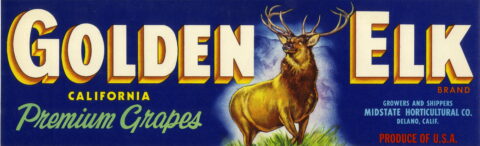 Golden Elk